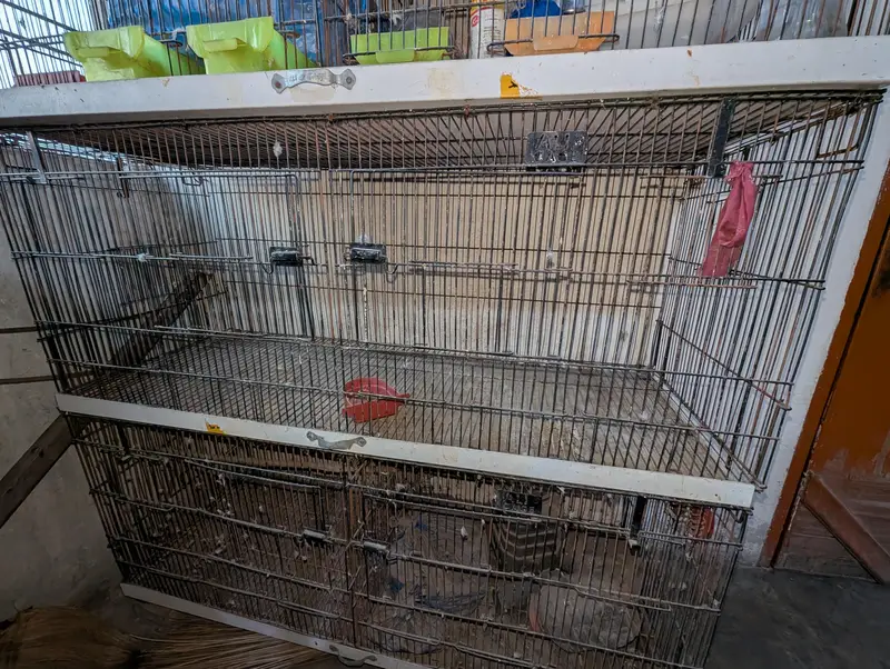 4- Compartment premium Bird/Pet cage- Good condition — photo 3