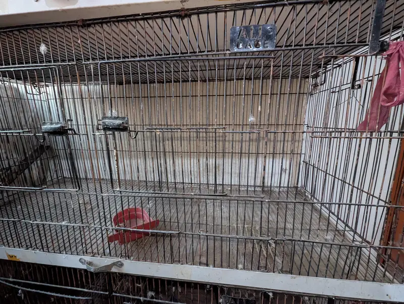 4- Compartment premium Bird/Pet cage- Good condition — photo 4