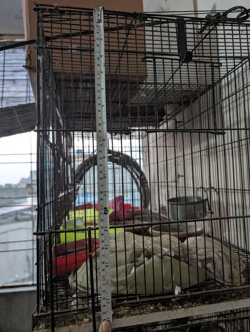 4- Compartment premium Bird/Pet cage- Good condition — photo 5