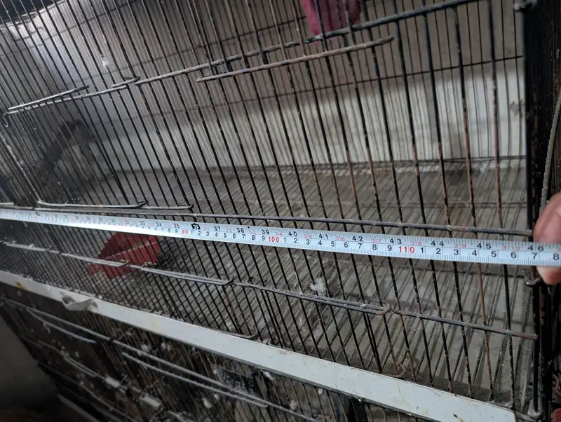 4- Compartment premium Bird/Pet cage- Good condition — photo 6