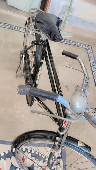 china cycle Phoenix for sale WhatsApp 0343=4669=032