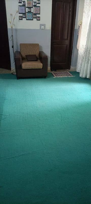 Luxury Sea Green Carpet For urgent sale