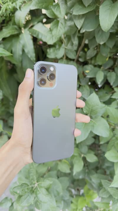 Apple iPhone 12 Pro Max