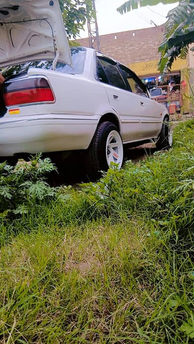 carolla