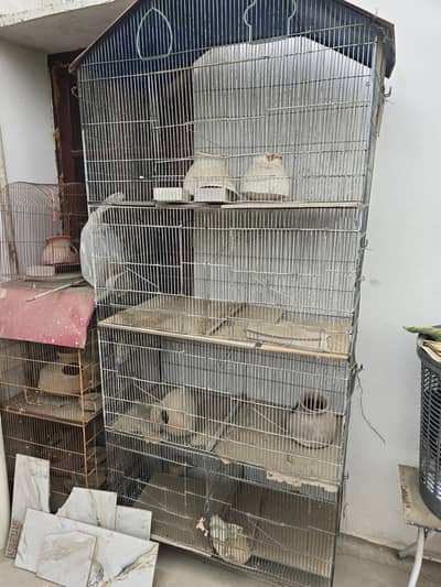 Bird Cages