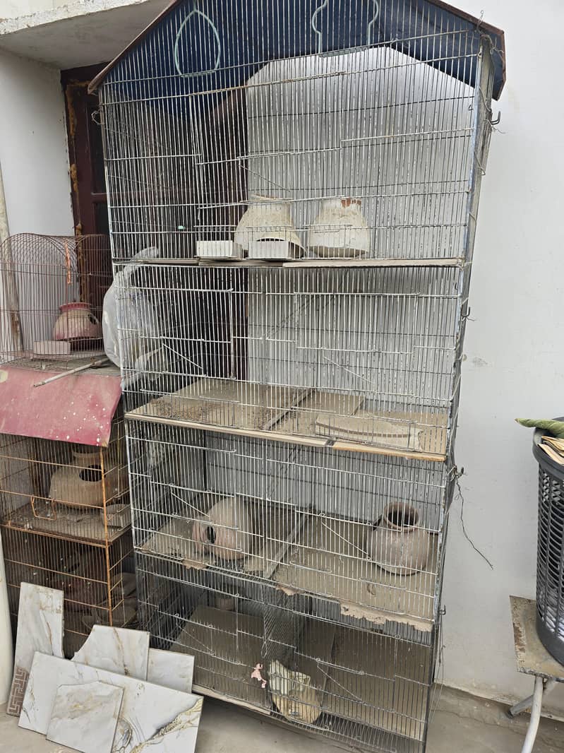 Bird Cages 0