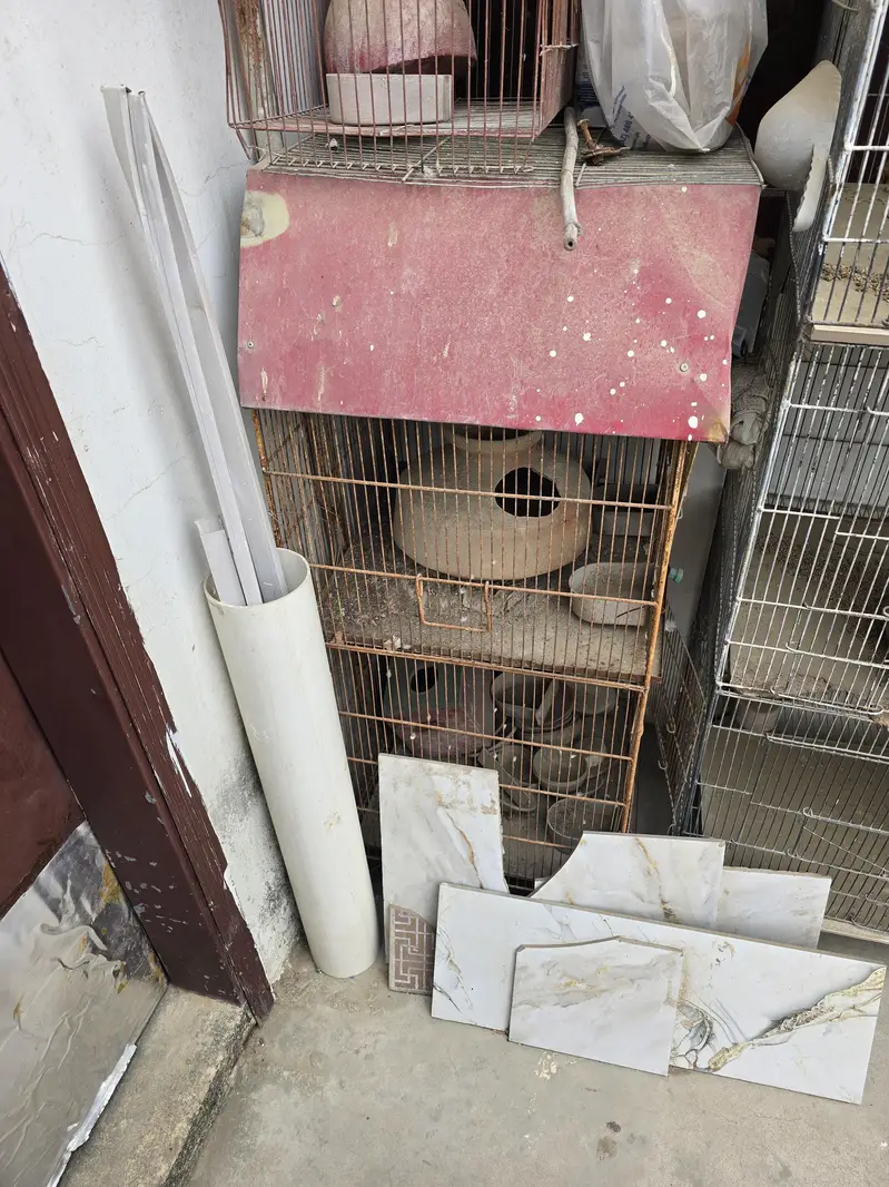 Bird Cages — photo 2