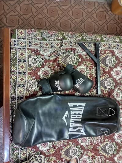 Everlast Boxing Kit