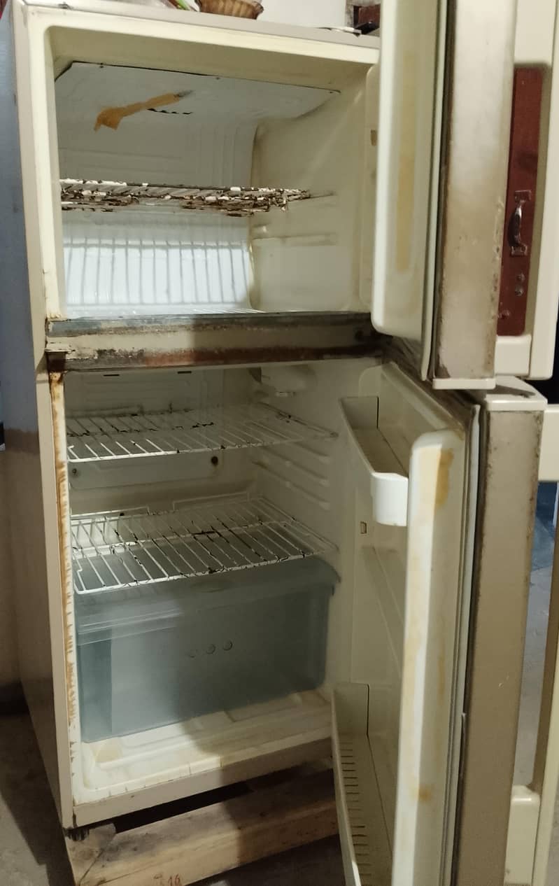 freezer 1