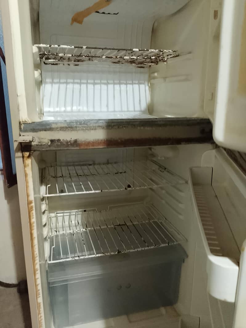 freezer 2