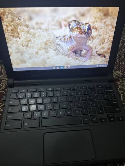 Dell chrome book