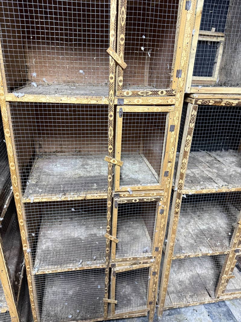 Cages 3