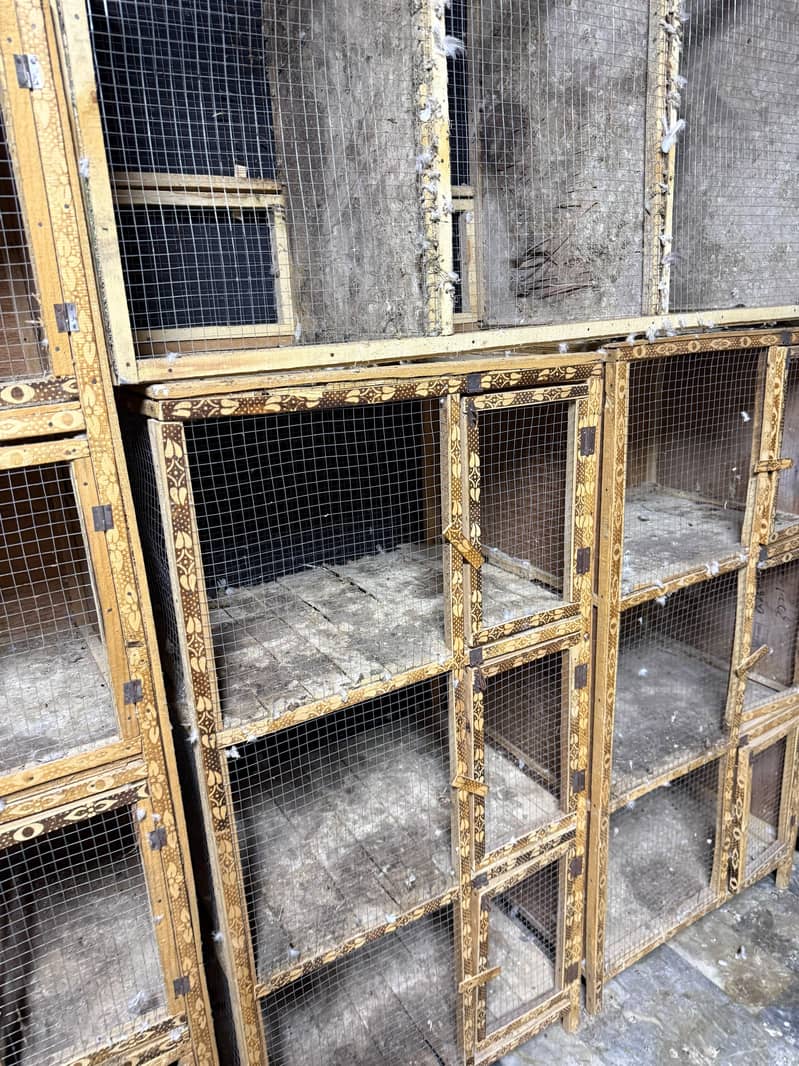 Cages 4