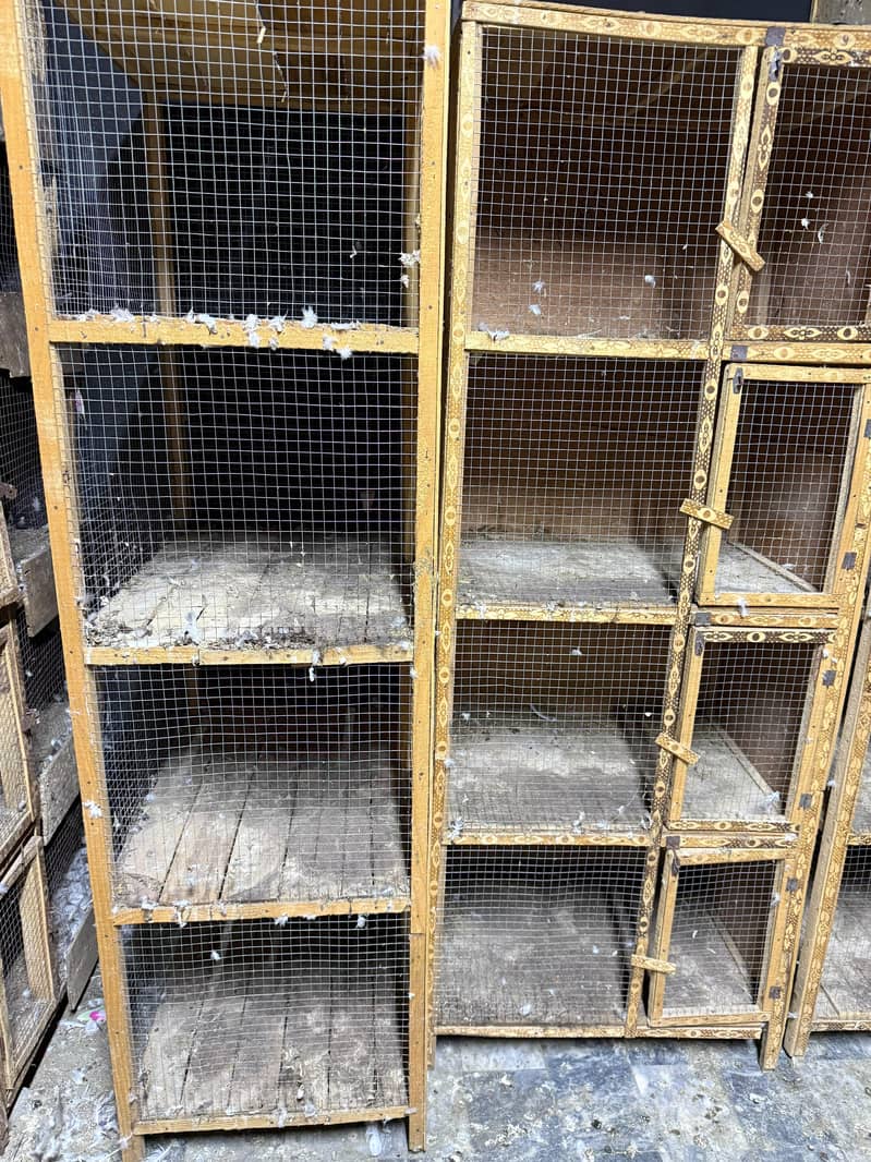 Cages 5