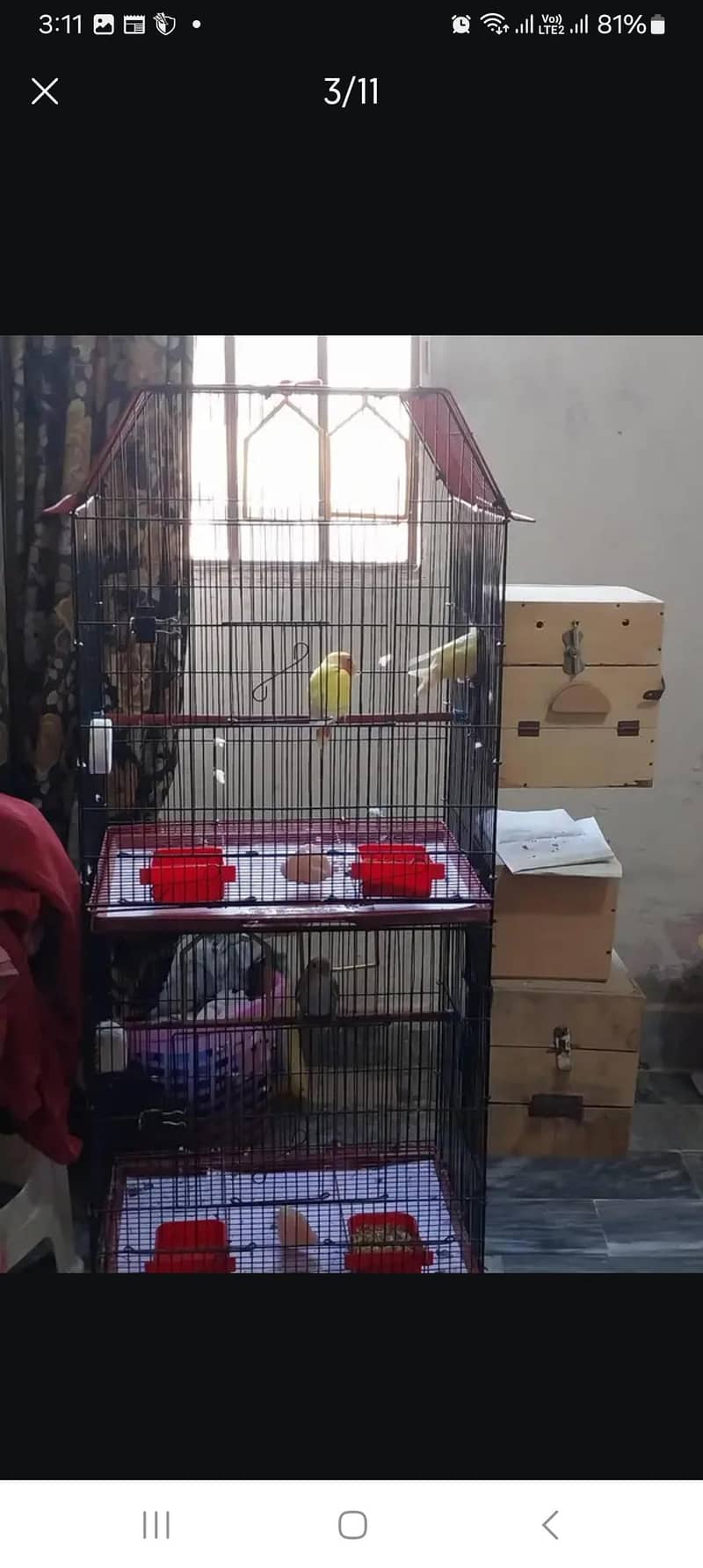 Double cage 1