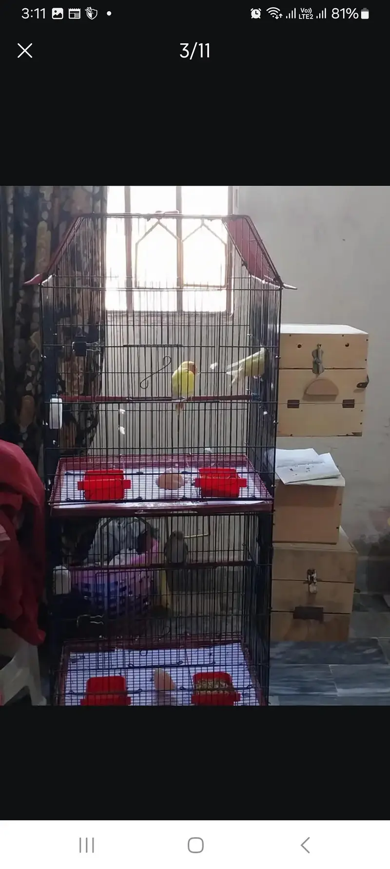 Double cage — photo 2