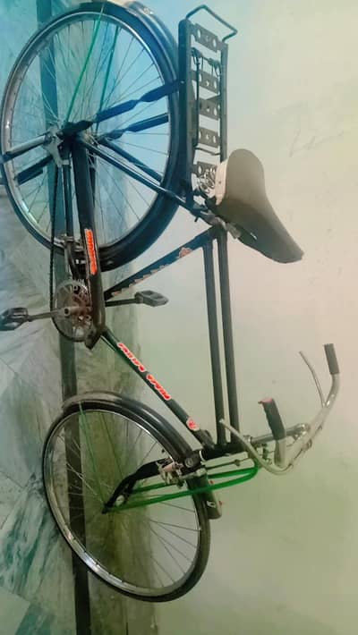 Shaheen bicycle