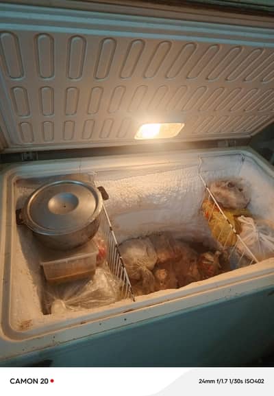 waves freezer