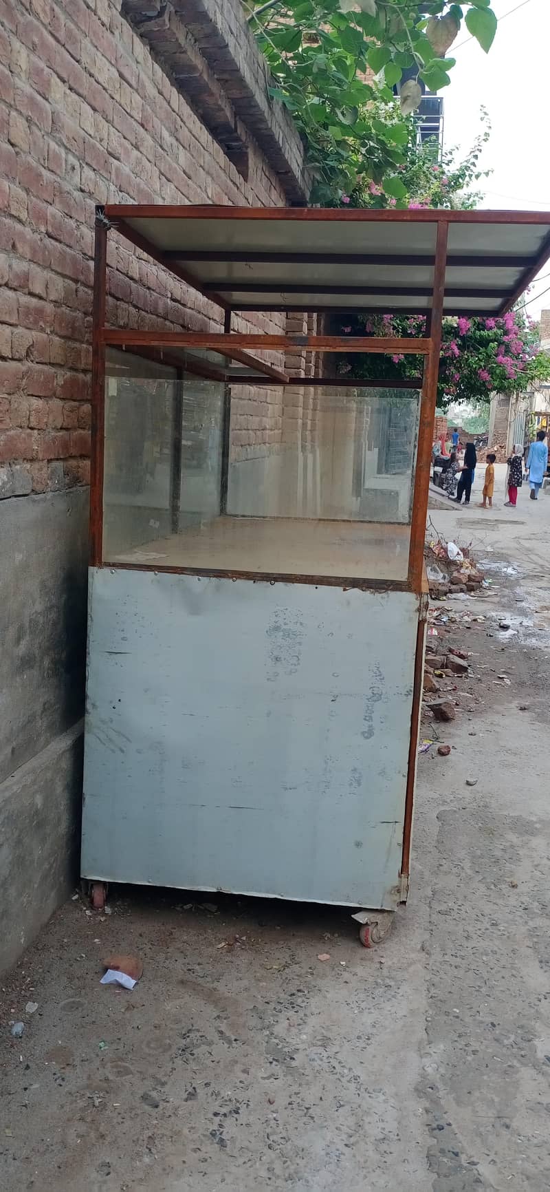 showarma countr 4