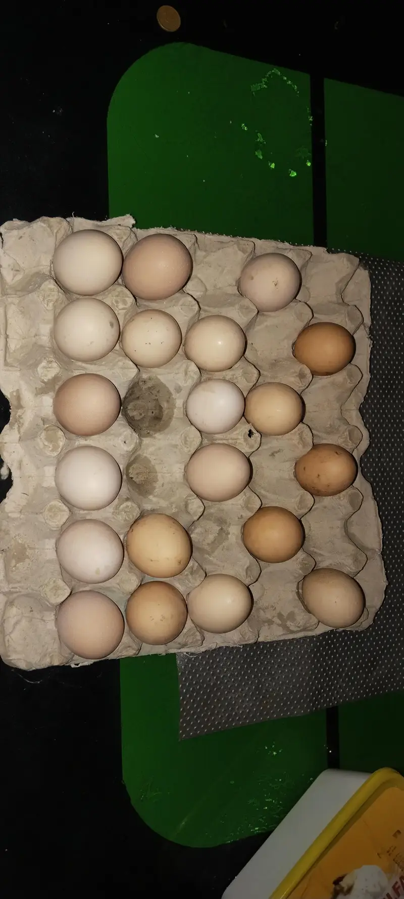 Aseel Eggs — photo 2
