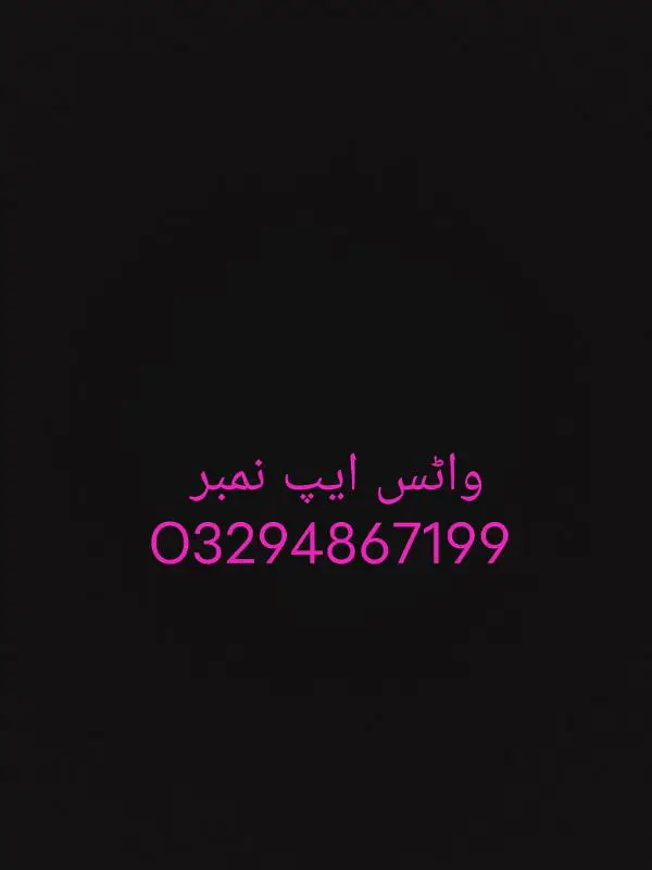 کشمیری را بولنے والا طوطا واٹس ایپ پر رابطہ کریں — photo 2
