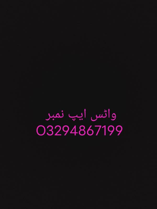 کشمیری را بولنے والا طوطا واٹس ایپ پر رابطہ کریں 1