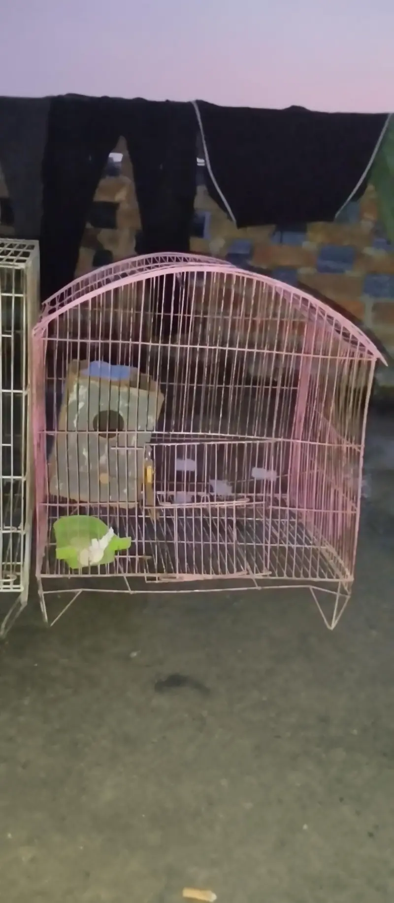 birds cage fore sale — photo 2