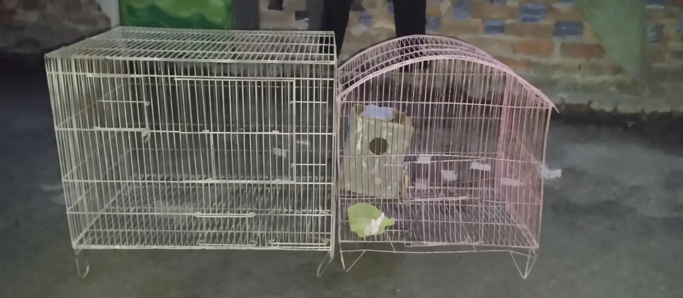 birds cage fore sale — photo 3