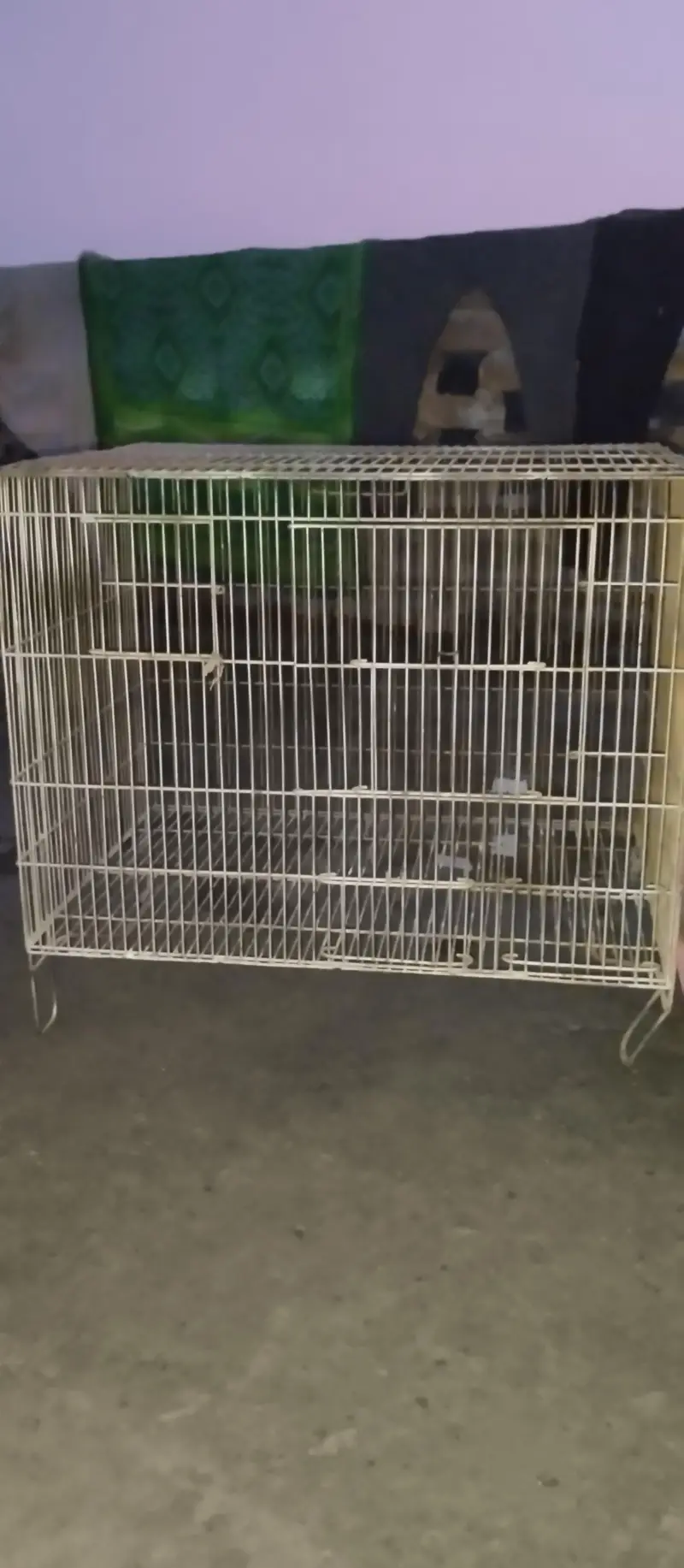 birds cage fore sale — photo 4