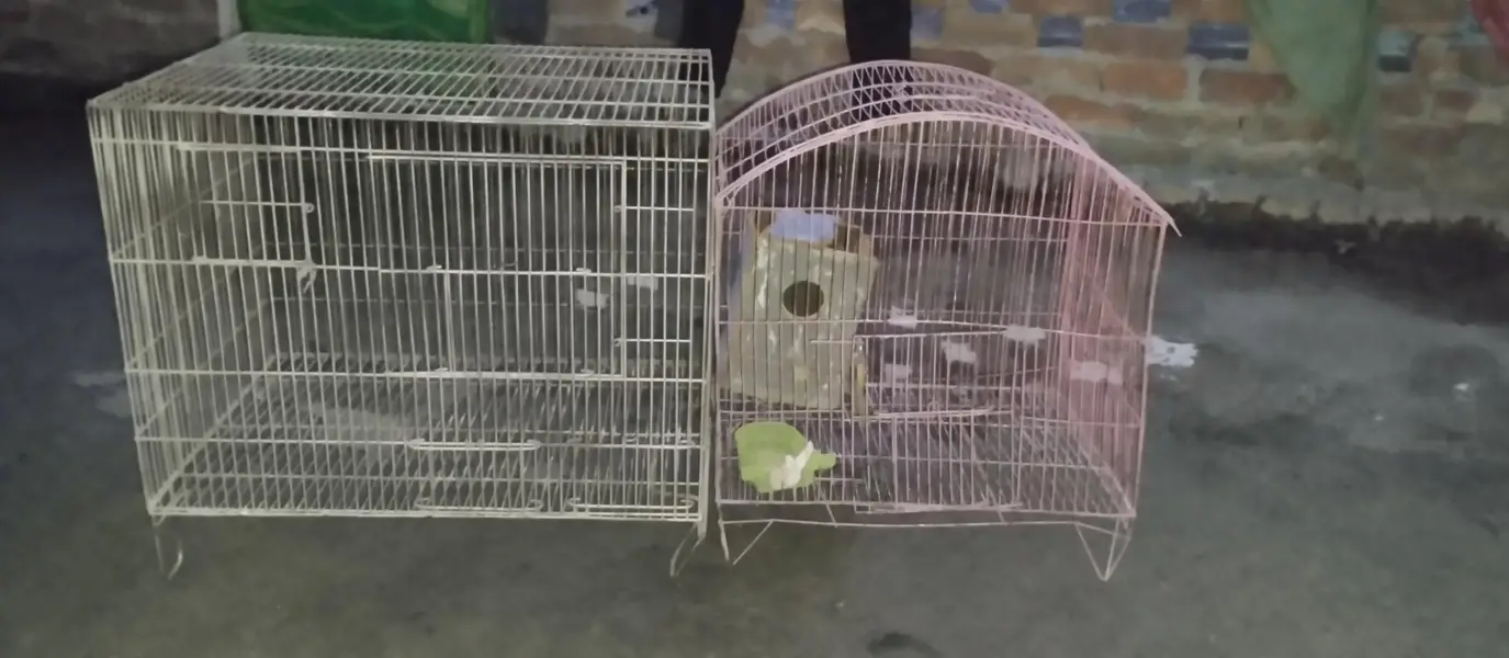 birds cage fore sale — photo 6