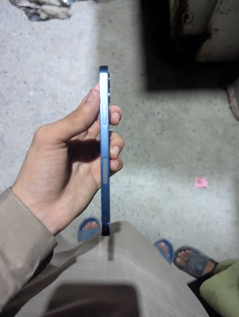 Apple iPhone 12 1