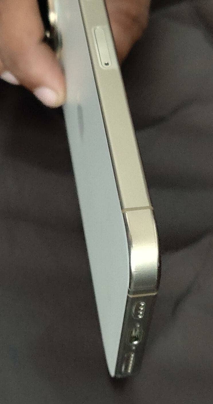 Apple iPhone 16 Pro Max 1