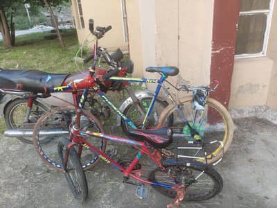 2 Phoenix wheeling cycles for sale wheely
