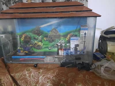 37 inches fish aquarium with all the accessories + 1 year+ food