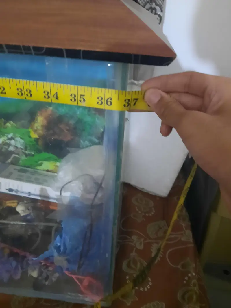 37 inches fish aquarium with all the accessories + 1 year+ food — photo 5