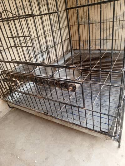 2 by 3 Master Cage for macaw, chicken or big birds best