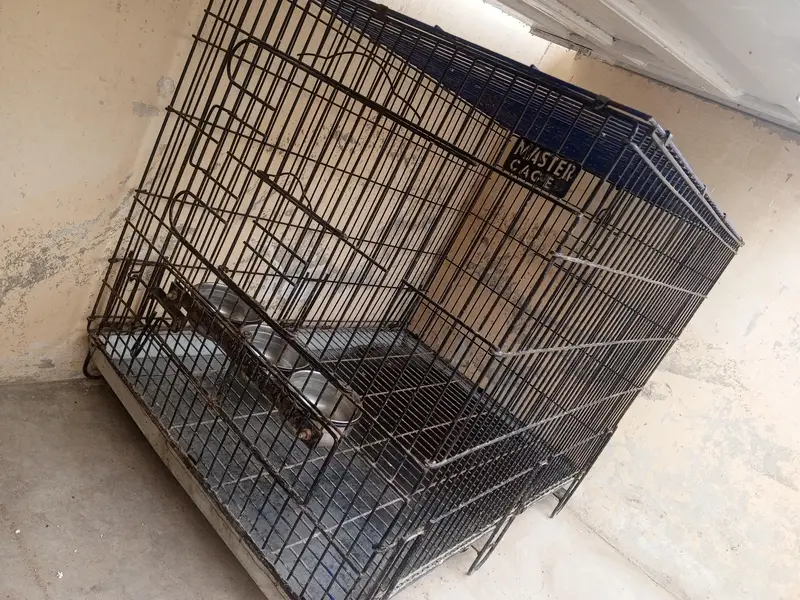 2 by 3 Master Cage for macaw, chicken or big birds best — photo 2