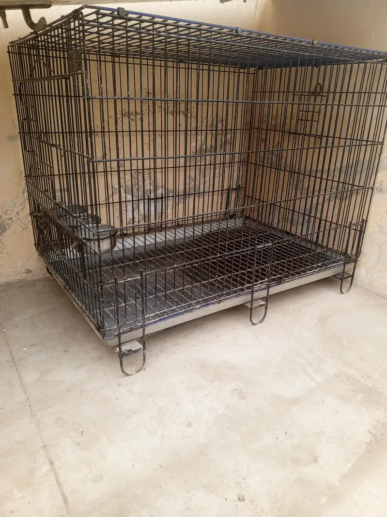 2 by 3 Master Cage for macaw, chicken or big birds best — photo 3