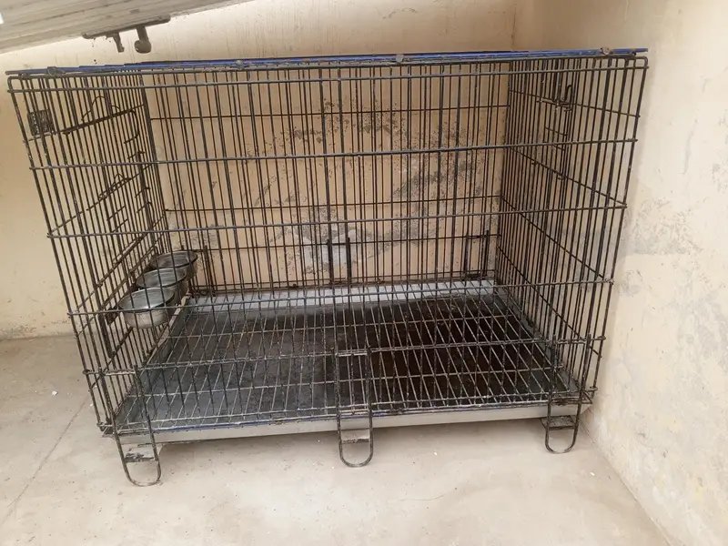 2 by 3 Master Cage for macaw, chicken or big birds best — photo 4
