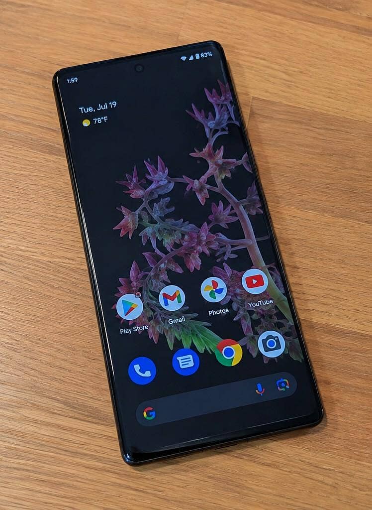 Google Pixel 6 Pro 1