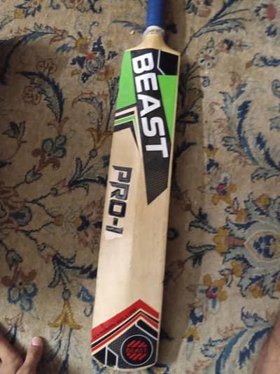for cricket lovers