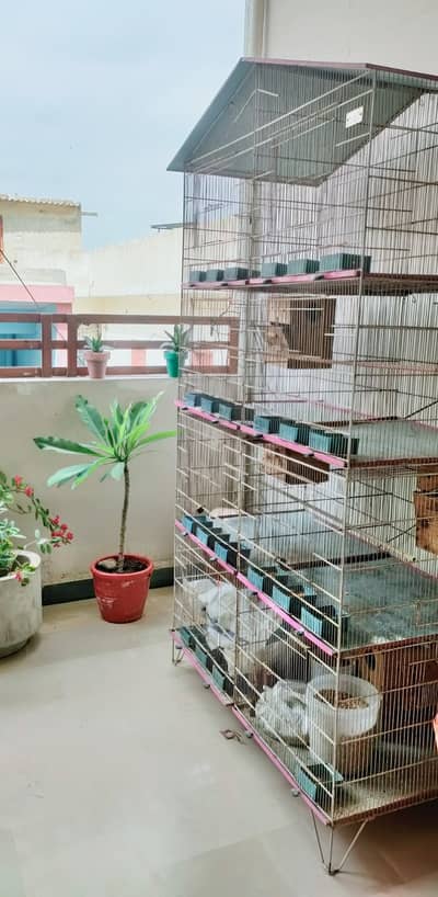 8 portions bird cage