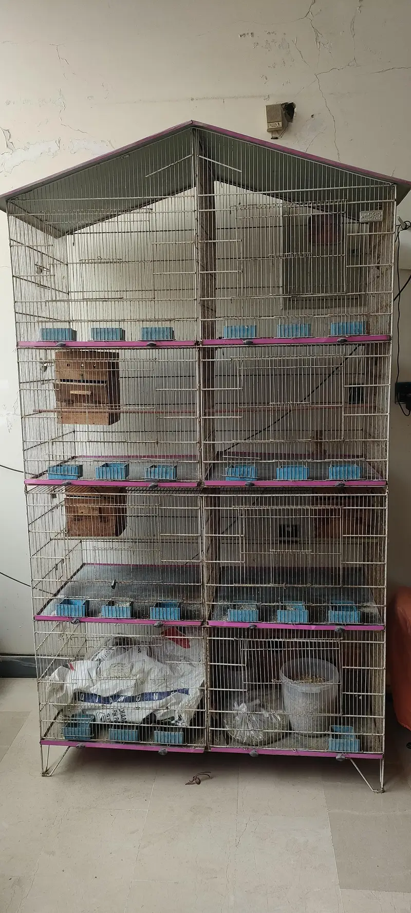8 portions bird cage — photo 3