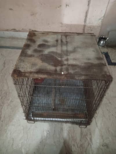 3 iron cages