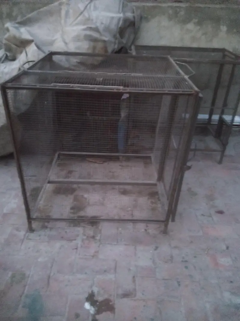 3 iron cages — photo 3