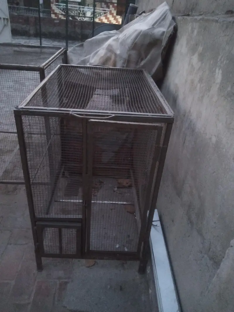 3 iron cages — photo 5