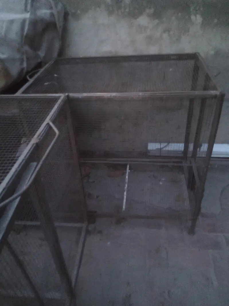 3 iron cages — photo 6