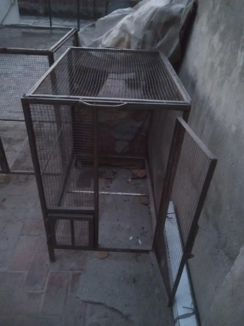 3 iron cages — photo 7