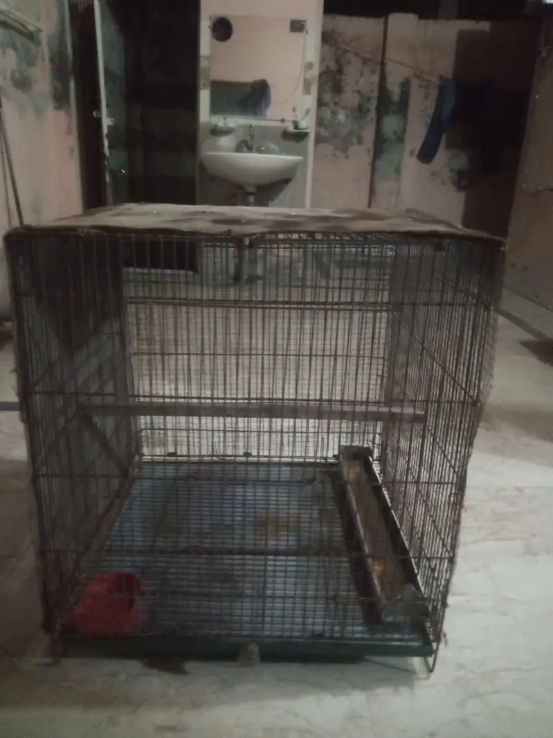 3 iron cages — photo 8