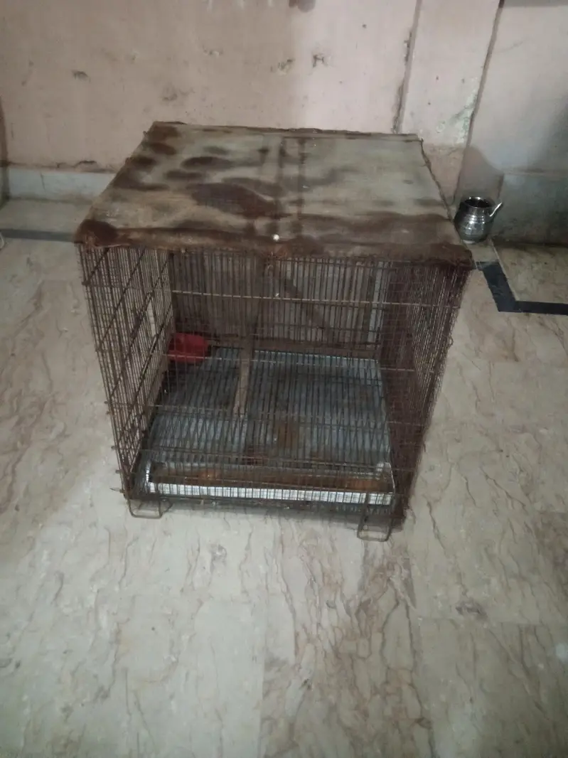 3 iron cages — photo 9